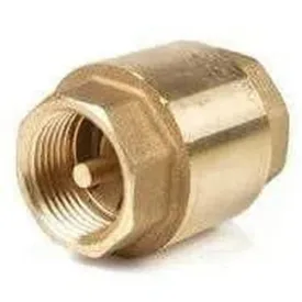 Check Non-Return Valve Spring Loaded Torrenti