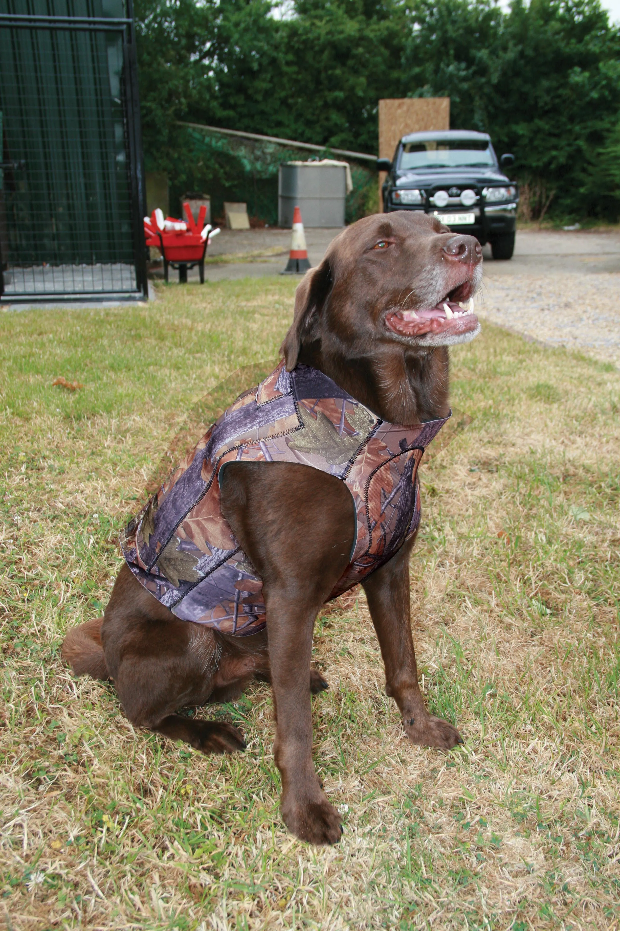 Jack Pyke Technical Neoprene Dog Vest Gen 2