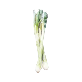 Spring Onion 100G