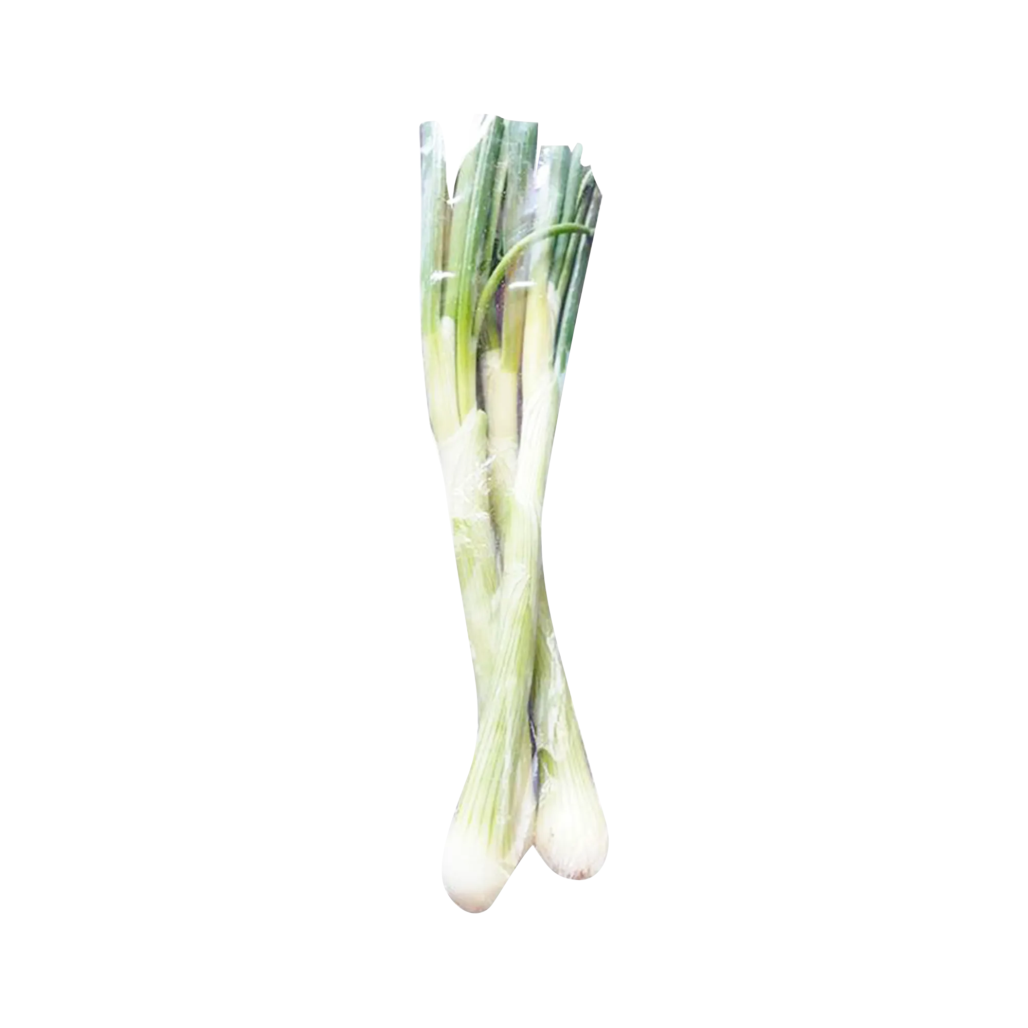 Spring Onion 100G
